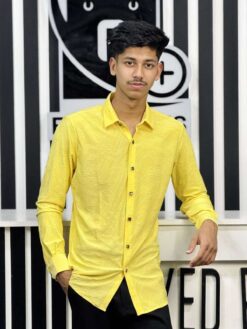 Chinese High Spandex Casual Shirt 23