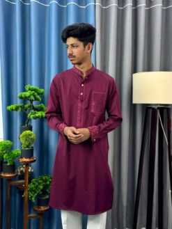 Shehnai Embroidered Panjabi (SEP-4)