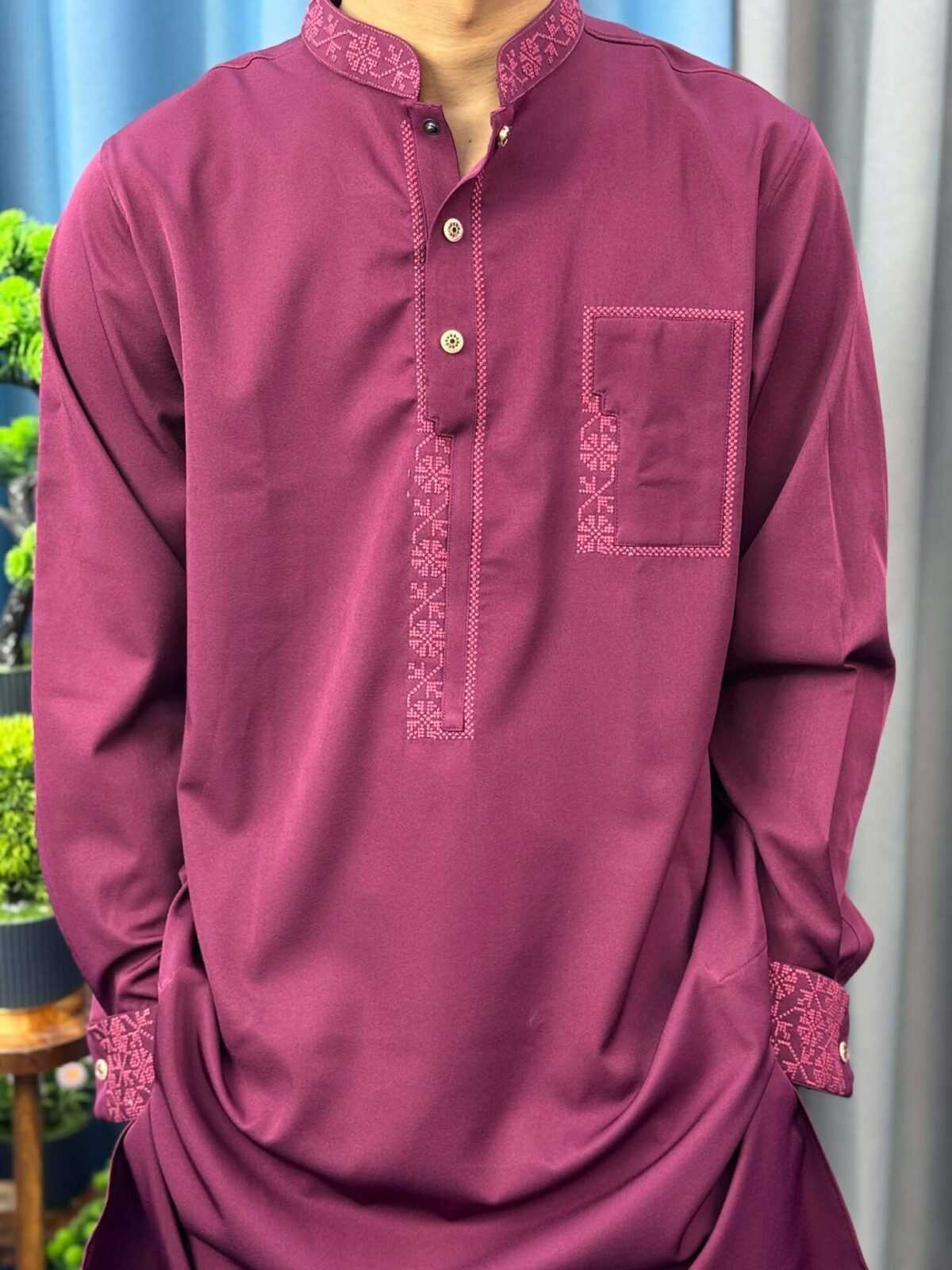 Shehnai Embroidered Panjabi (SEP-4) - Image 2